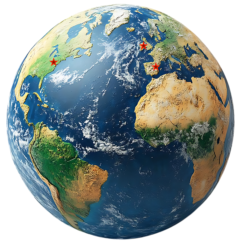 RareMoon Consulting Globe